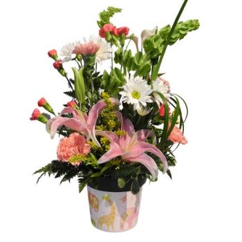 Baby Girl Fresh Flowers