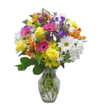 brighten your day get well flowers