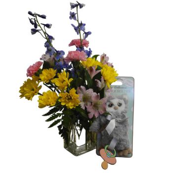Olly the Owl and Fresh Flowers