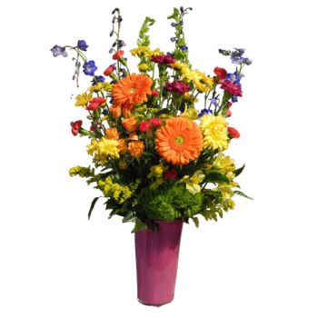 Bright and Vibrant