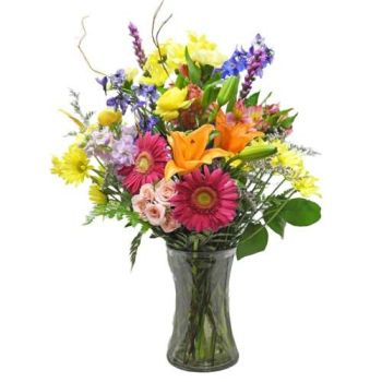 birthday flowers pink gerbera daisy