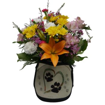Paw Print Lunch Tote
