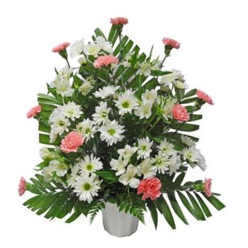 Pink carnations white daisy funeral flowers 