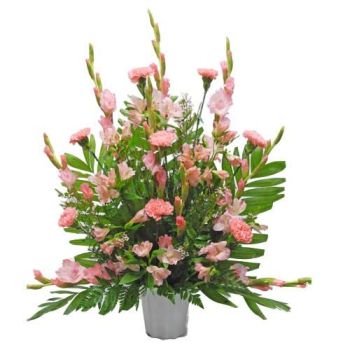 Pink Funeral Tribute 