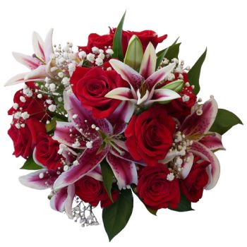 Stargazer and Roses Wrapped
