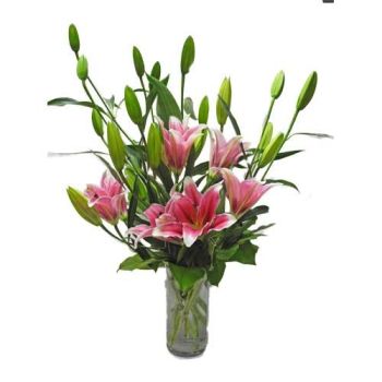 Stargazer Lilies Vased 