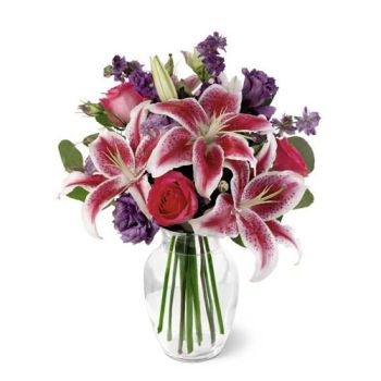 Flowers delivered Stunning Stargazers