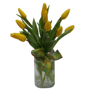 Springtime Tulips Vased for Canton