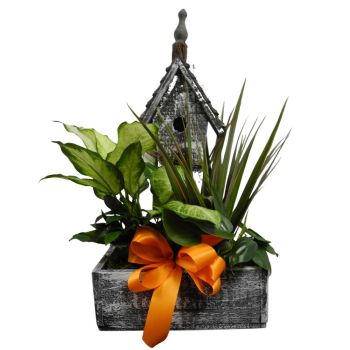 Wooden Church Birdhouse Planter