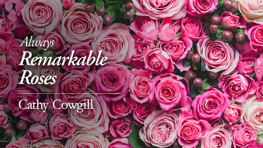 always remarkable roses