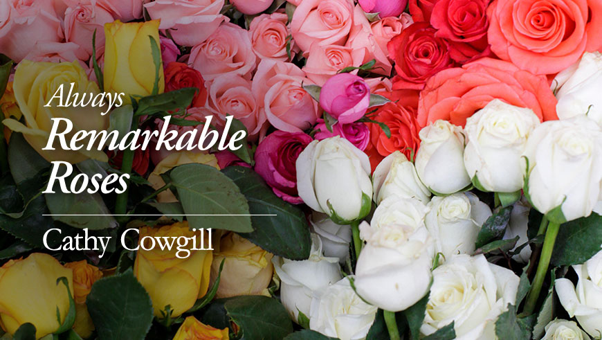 always remarkable roses