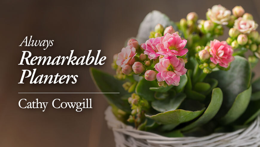 always remarkable planters